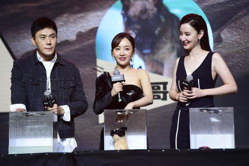 娱乐圈吃瓜大全爆料,揭秘明星背后的秘密与八卦